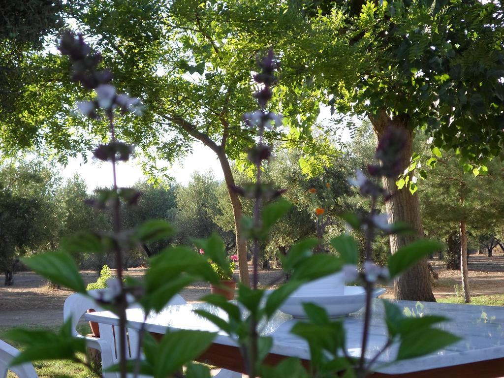 توروني Bozelia Apartments المظهر الخارجي الصورة